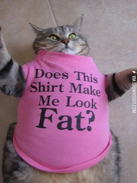 Yes%26%238230%3B+Yes+it+does.