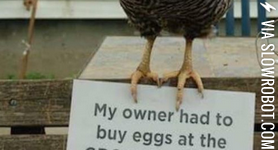 Chicken+shaming