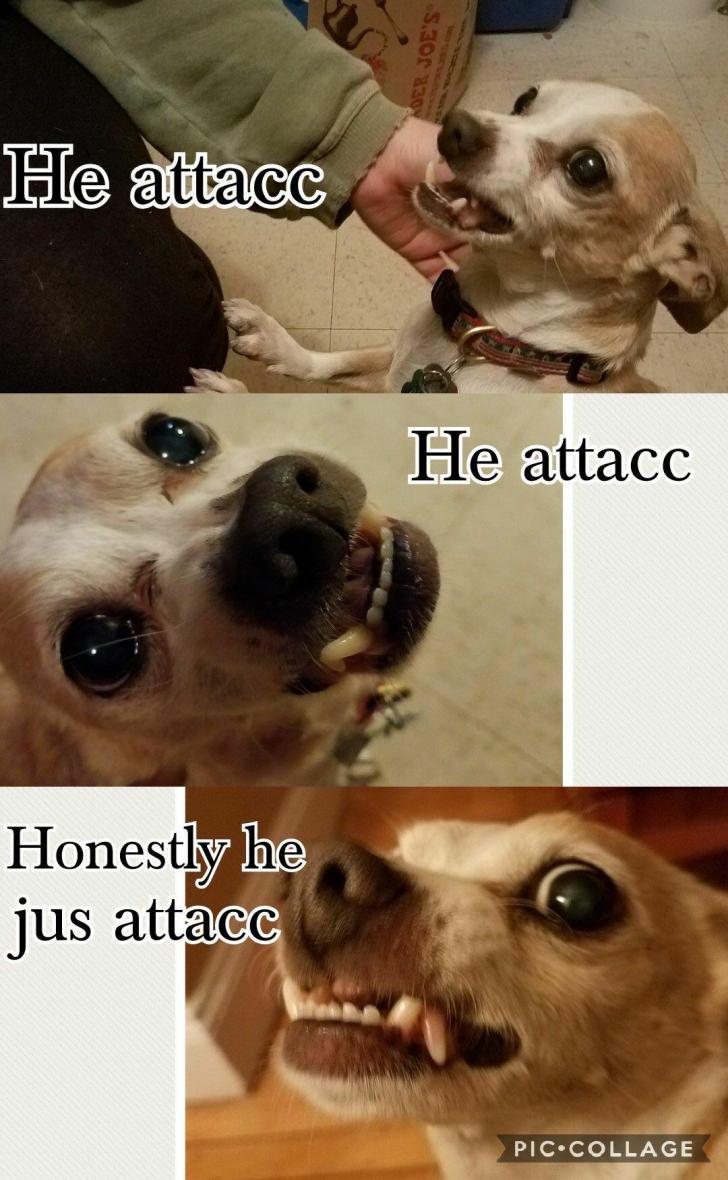 he+attac