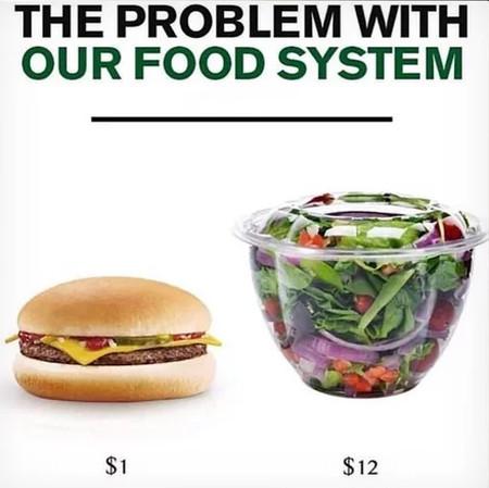 The+Problem+With+Our+Food+System%26%238230%3B