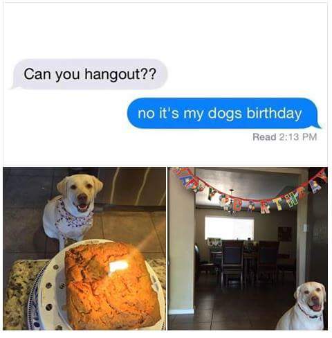 Respect+the+dogs+day.