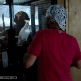 Can+you+teach+me+how+to+dougie%3F