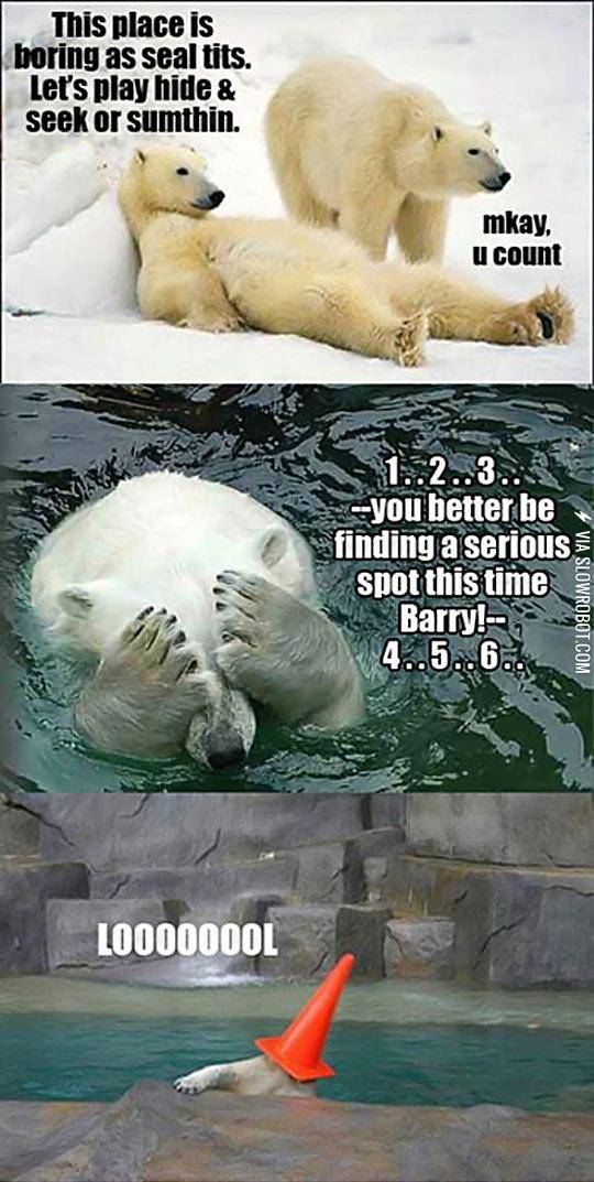 Bored+Polar+Bears