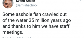 Stupid+fish