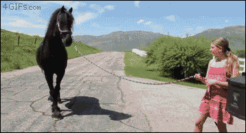 Stallion+wants+to+be+a+father.