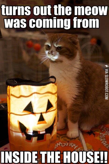 Dun%21+Dun%21+Dunnnn%21