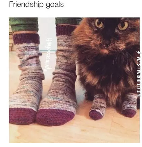 Friendship+Goals
