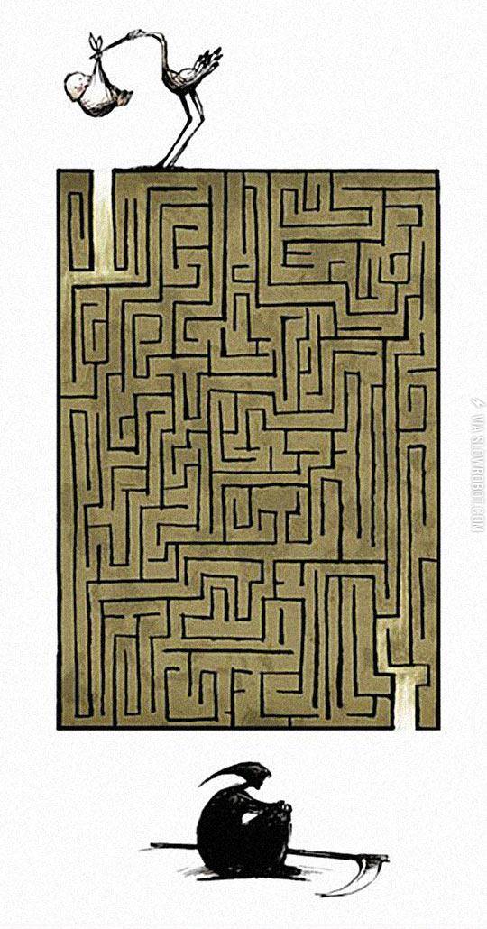 The+Great+Maze+Of+Life