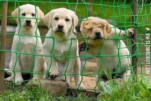 3+degrees+of+curiosity