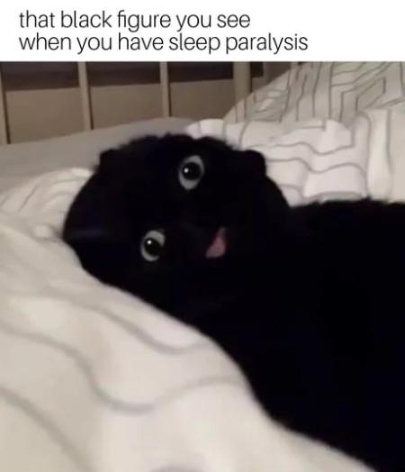 I%26%238217%3Bm+awake.