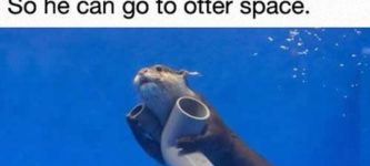 He%26%238217%3Bs+Going+To+Otter+Space