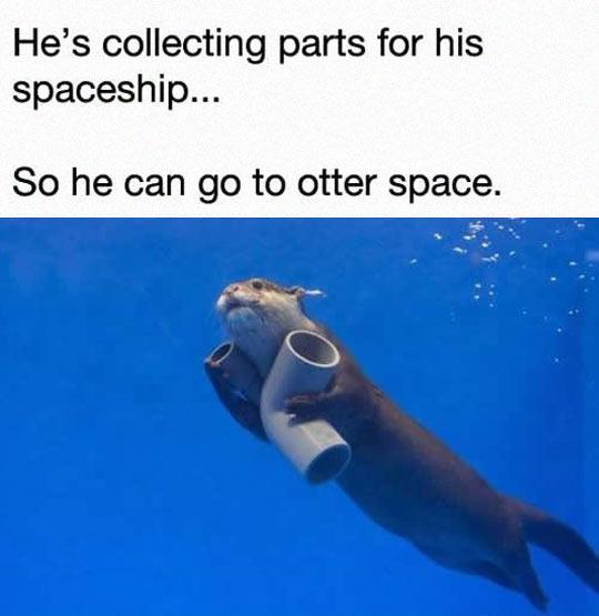 He%26%238217%3Bs+Going+To+Otter+Space