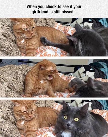 Babe%2C+Are+You+Still+Mad%3F