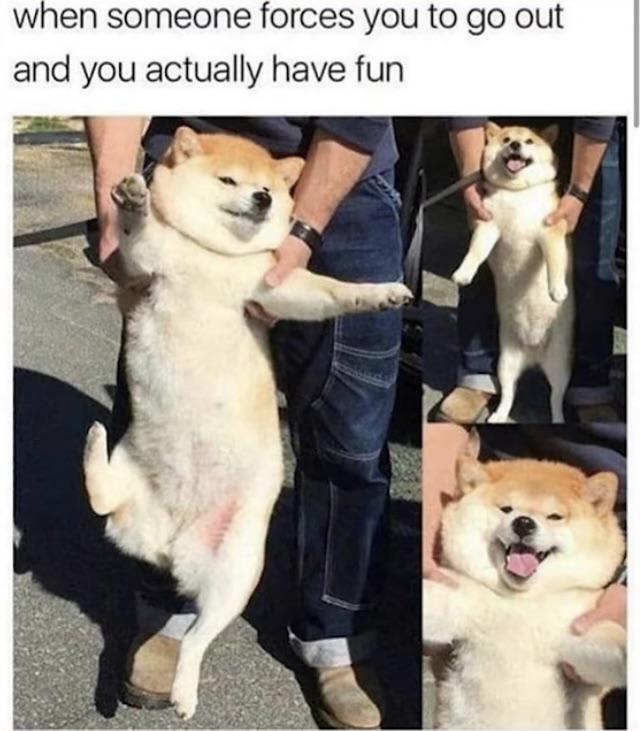 Moves+like+Jager%26%238230%3B