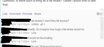 Fat+Whale%3F
