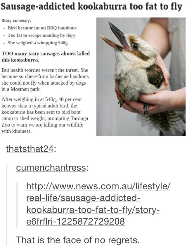 The+face+of+no+regrets.