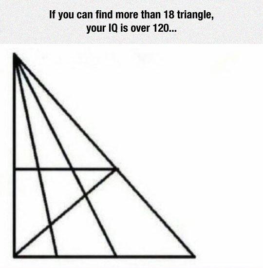 Try+To+Find+Them+All