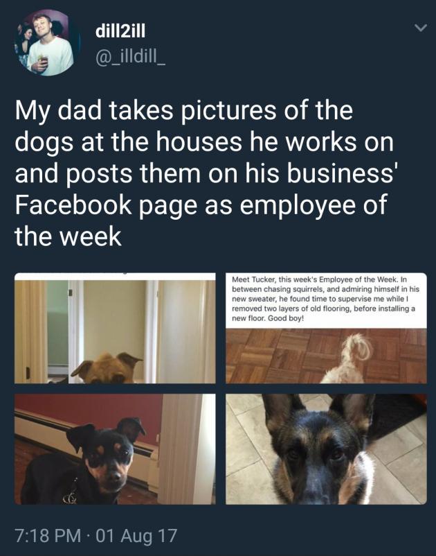 It%26%238217%3Bs+a+ruff+job+but+someone+has+to+do+it