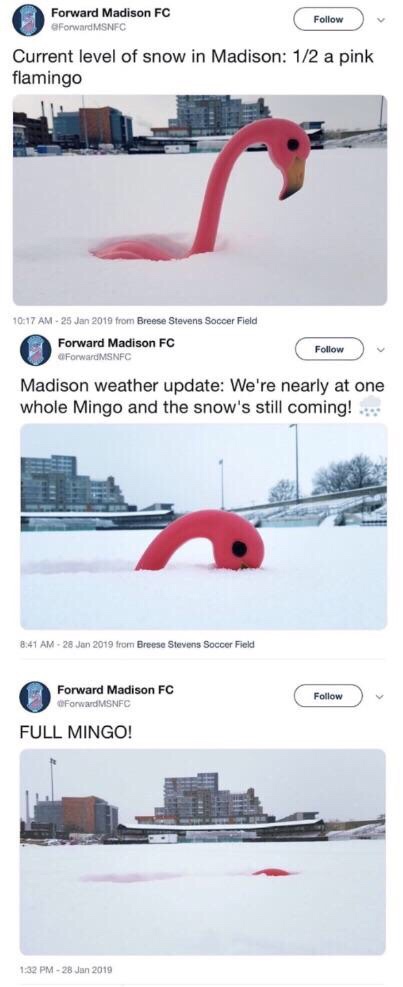 The+mingo+has+fallen%21