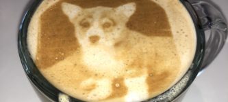 Corgi+latte