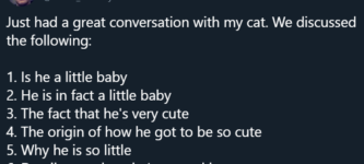 deep+cat+conversations