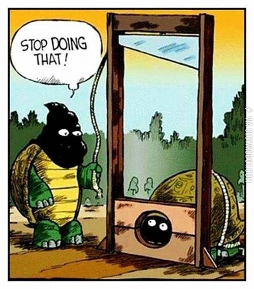 Turtle+humor.