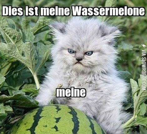 Meine+Wassermelon