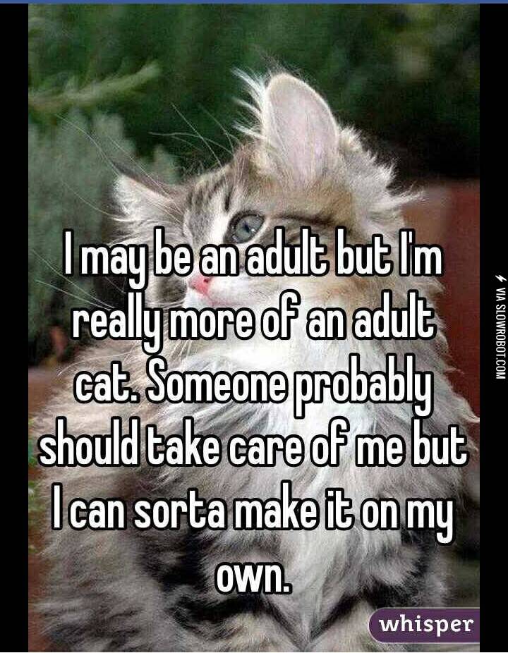 If+you+feed+me%2C+I+won%26%238217%3Bt+go+away