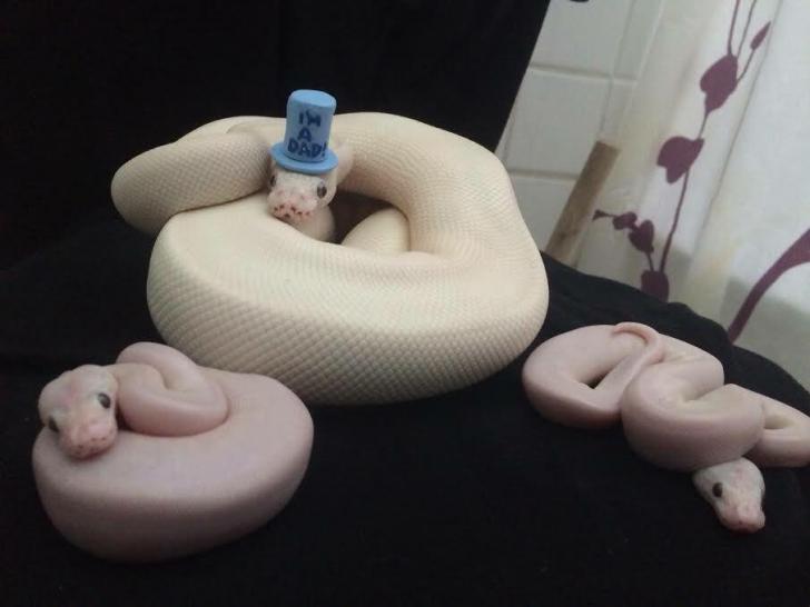 Snake+just+became+a+father
