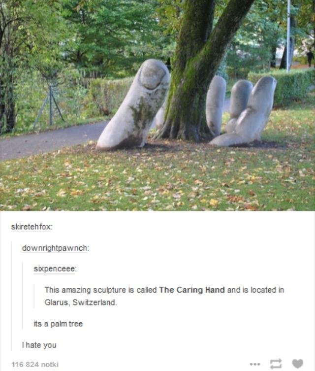 Check+out+this+palm+tree