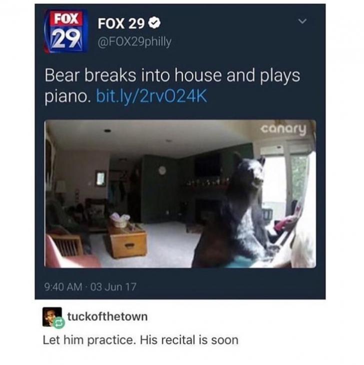 Let+the+bear+play