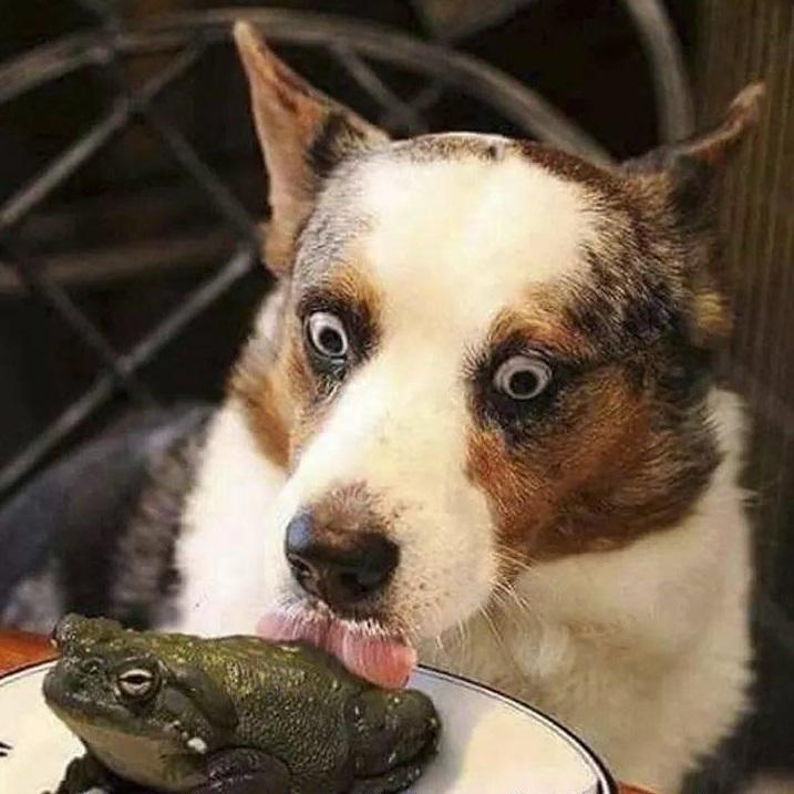 WHAT+HAVE+I+DONE%21%3F