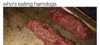 Hamdogs