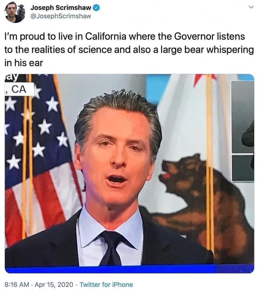 Tell+me+what+we+should+do%2C+Bear.