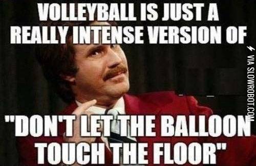 The+truth+about+volleyball.