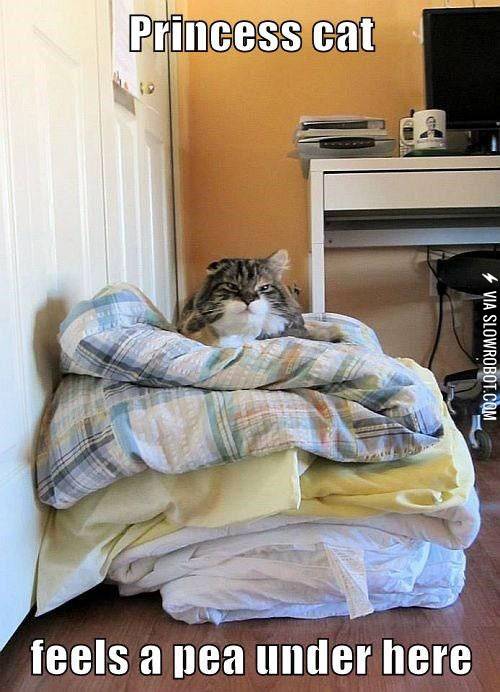 Princess+cat+and+the+pea.