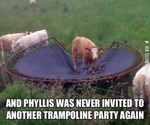 This+is+why+we+can%26%238217%3Bt+have+nice+things.