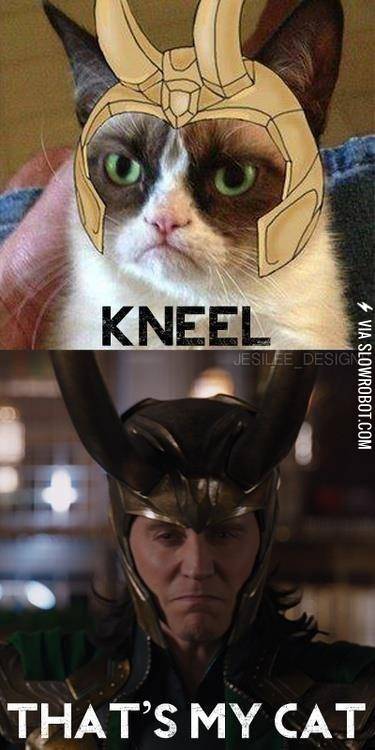 That%26%238217%3Bs+my+cat