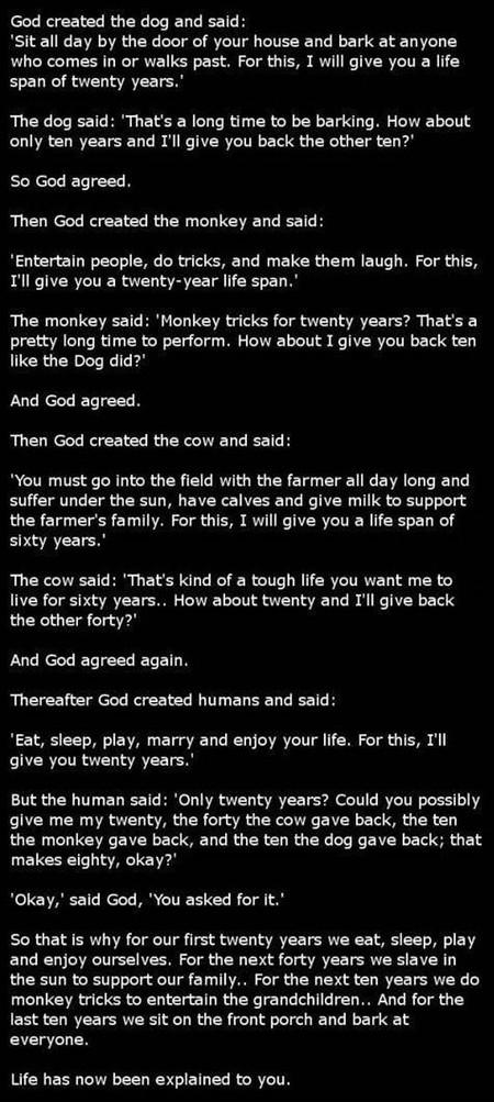 God+Created+The+Dog+And+Said%26%238230%3B