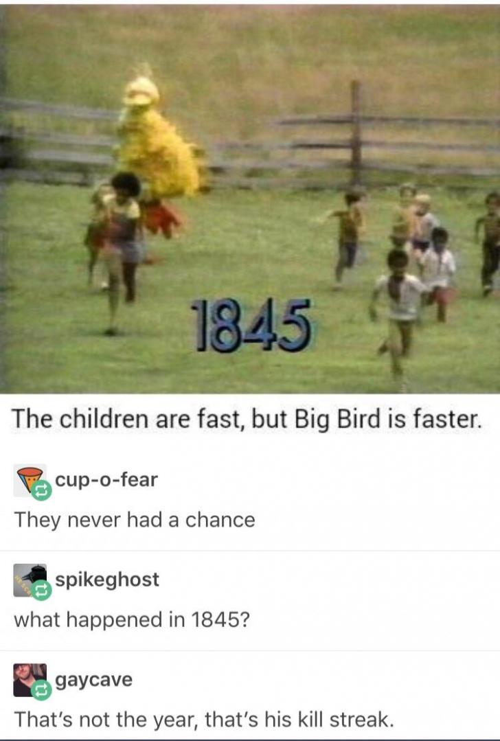 The+Big+Bird+Massacre
