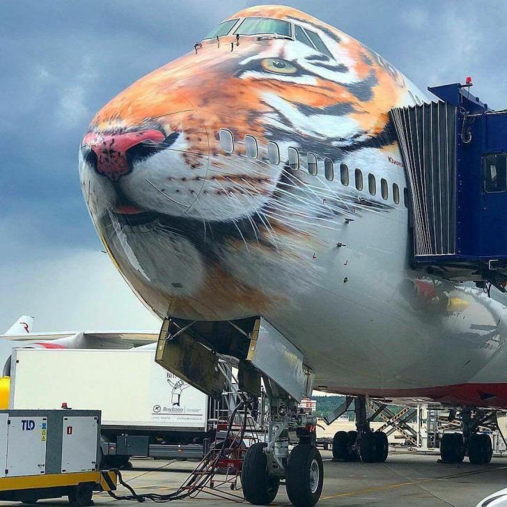 Tiger+777
