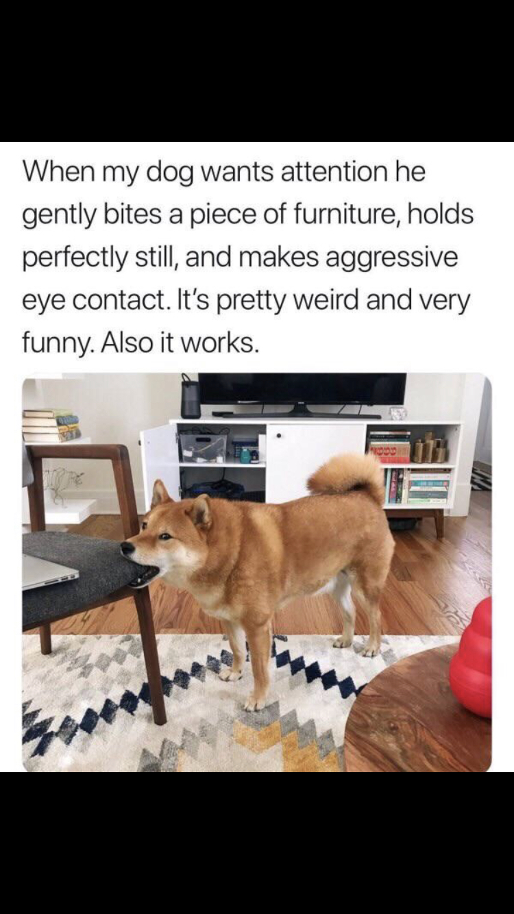 Also+how+I+get+my+wife%26%238217%3Bs+attention%26%238230%3B