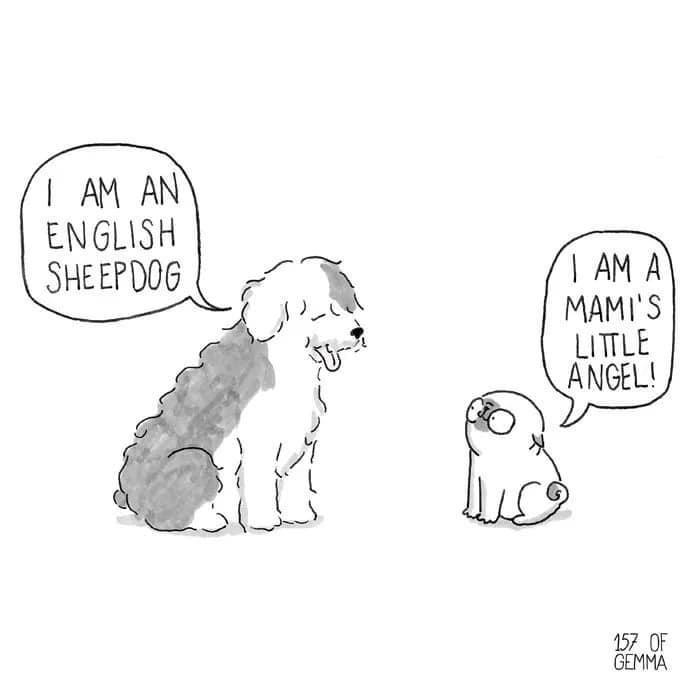 %26%238230%3Band+I+live+in+a+purse.