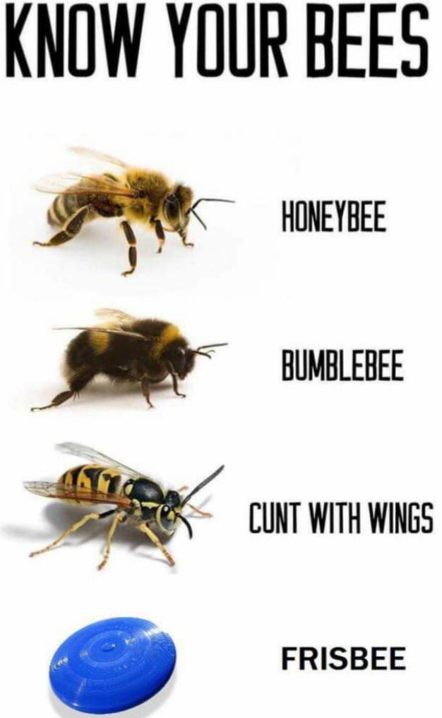 PSA%3A+Summer+is+coming.