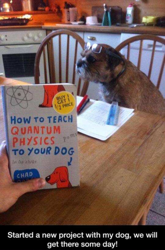 Just+Started+A+New+Project