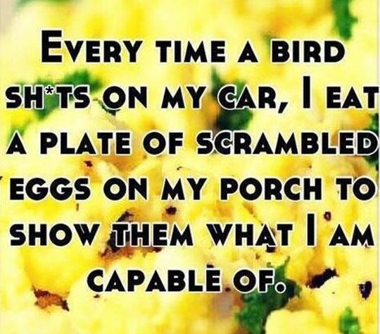 Don%26%238217%3Bt+Mess+With+Me