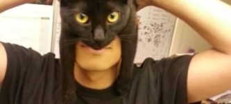 How+to+look+like+Batman%2C+using+your+cat