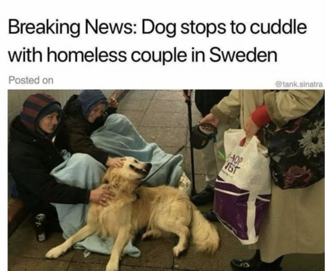 Spontaneous+cuddle+sessions.