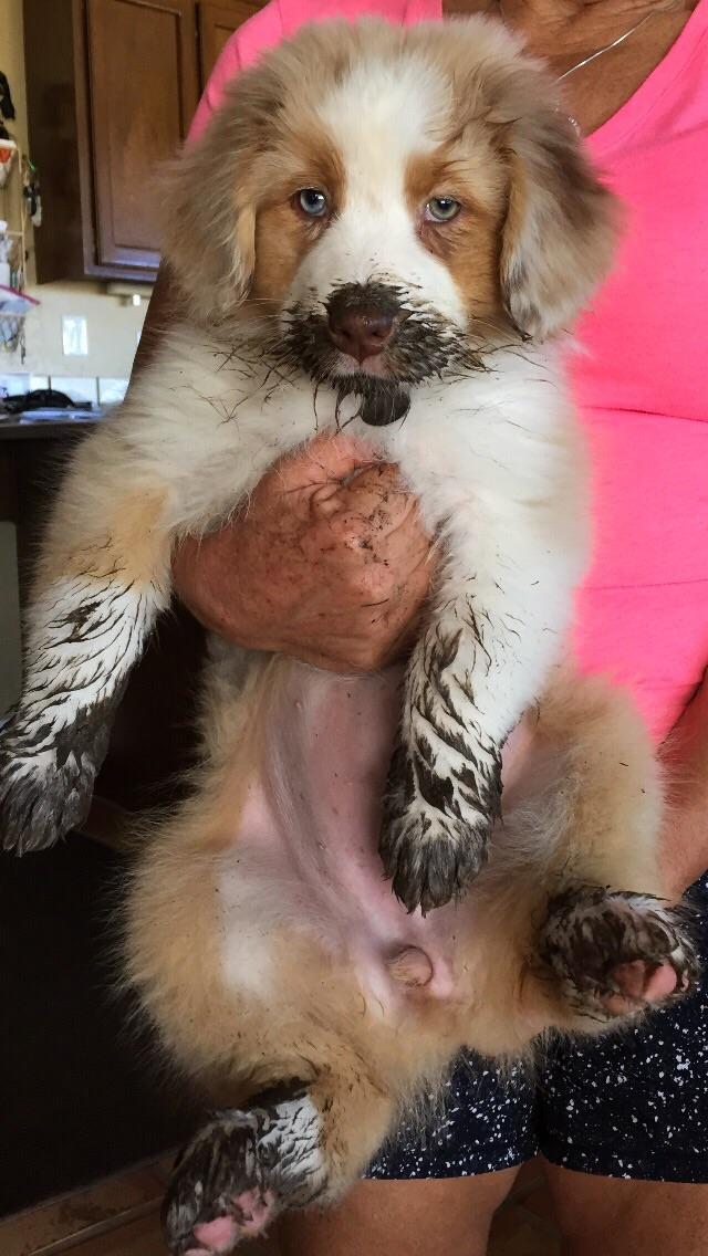 She+discovered+mud+today%26%238230%3B