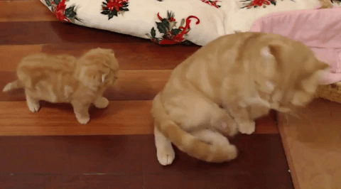 Mom%2C+how+do+you+do+that+weird+foot+thing%3F%3F